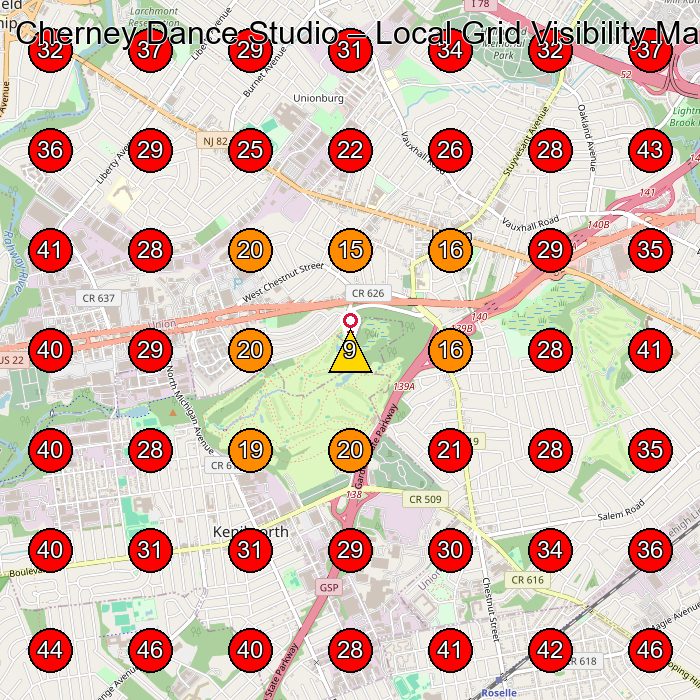 Cherney Dance Studio GeoGrid visibility map for Dance School in Roselle Park